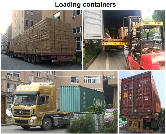 loading containers.jpg