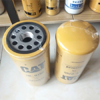 1R0755 Caterpillar Equipment Fuel Filter For Diesel Engine Parts High Efficiency